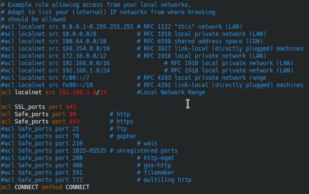 squid config example